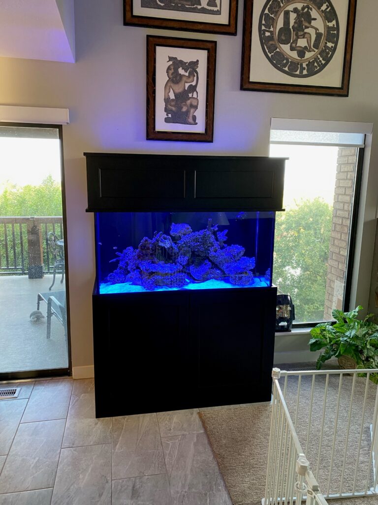 Custom Fish Tank 2